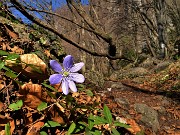 Cima Cornetti (1550 m) ad anello da Cornalba (Sentiero Partigiano)-24mar22-FOTOGALLERY